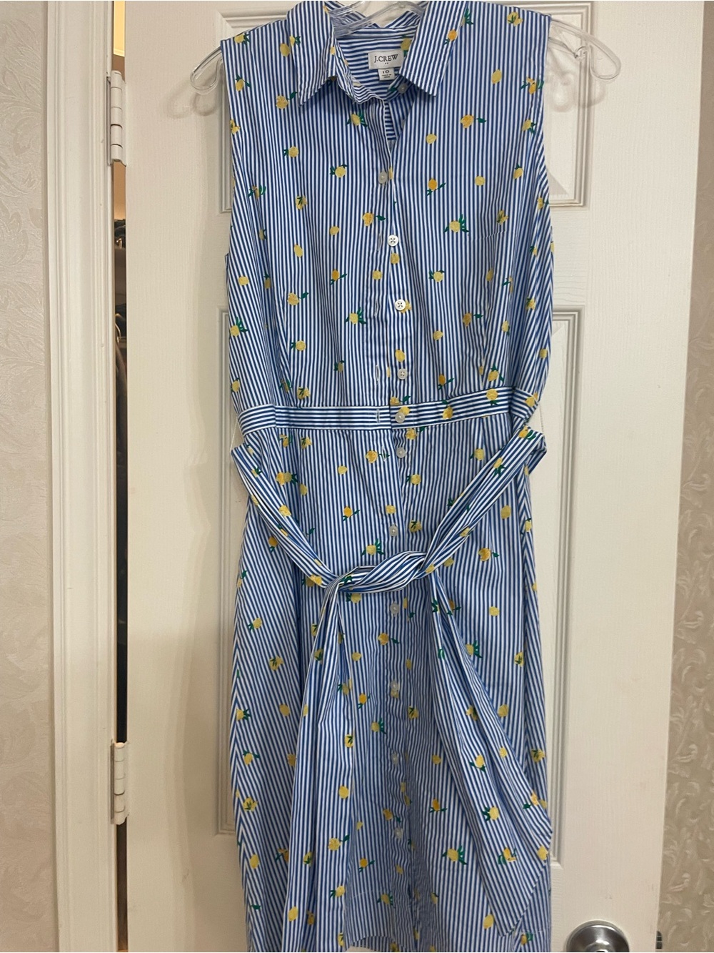 J. Crew Blue & Yellow Sleeveless Striped Shirt Dress with Lemon Motif